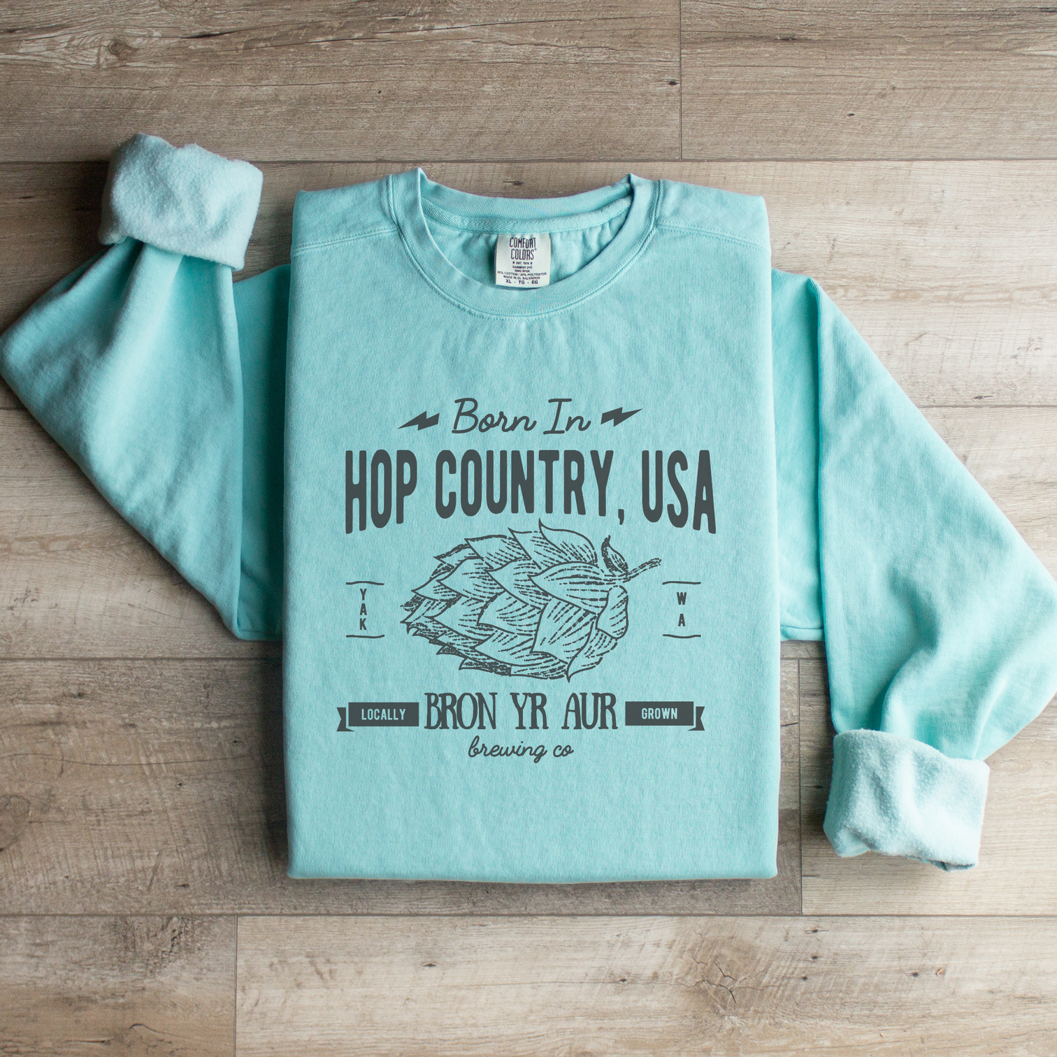 Sweatshirts & Hoodies – Bron Yr Aur Brewing Co